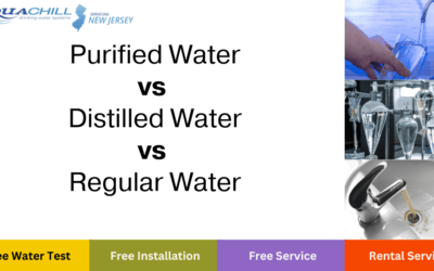 Understanding the Key Differences of Purified vs Distilled vs Regular Water